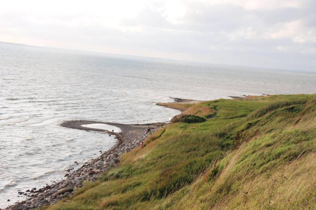 Beautiful And Amazing View - 3 Bedroom Cottage Vinderup エクステリア 写真